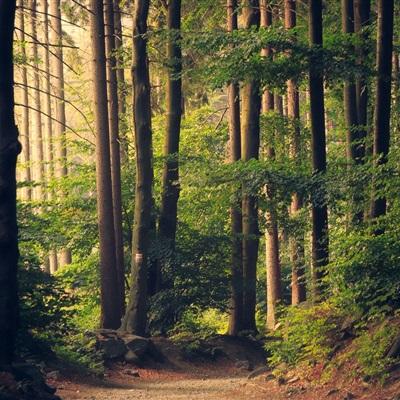 半岛平台官方网站入口截图